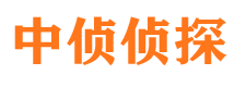 大柴旦寻人公司